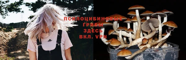 каннабис Бородино