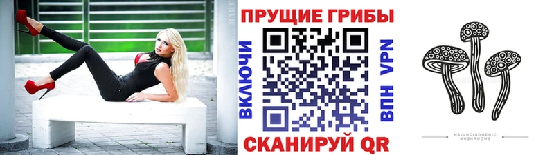 Псилоцибиновые грибы Cubensis  закладки  Гусь-Хрустальный 